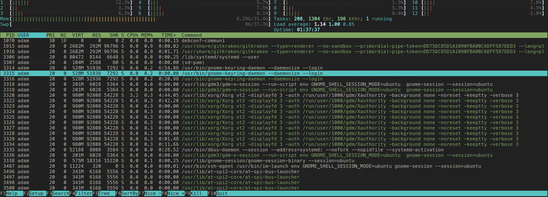 htop terminal